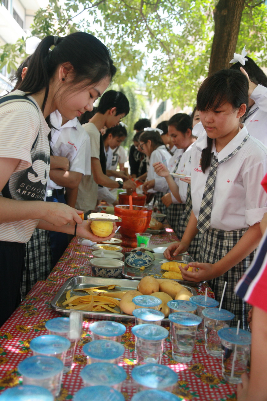 Thai-SingaporeCulturalexchange2015_35